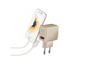 Ajouter au panier Chargeur de voyage Gold Collection avec port USB 1 mAh Or Chargeur de voyage Gold Collection avec port USB 1 mAh Or