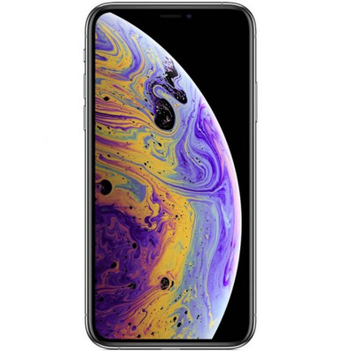 Apple iPhone XS Max 64 go Gris de l'Espace