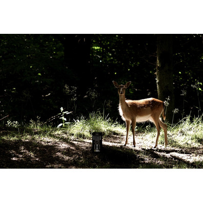 Bresser Cámara de Observación Faune naturelle