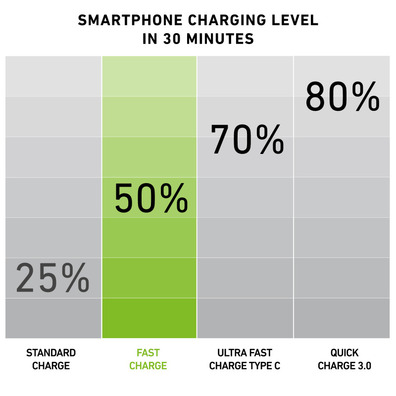 Travel charger 2100 mAh microUSB SBS