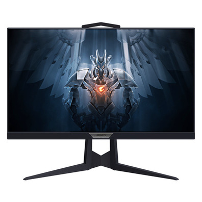 Moniteur Gaming Gigabyte Aorus FI25F-EK 25''FHD