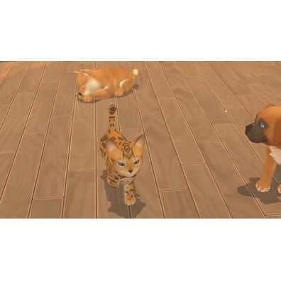 Mon univers: Cachorros y Gatitos Switch