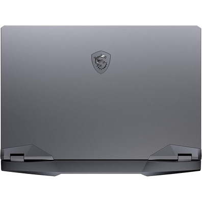 Portátil MSI GE66 10SFS Raider 624ES i7/32GB/1TB/RTX2070