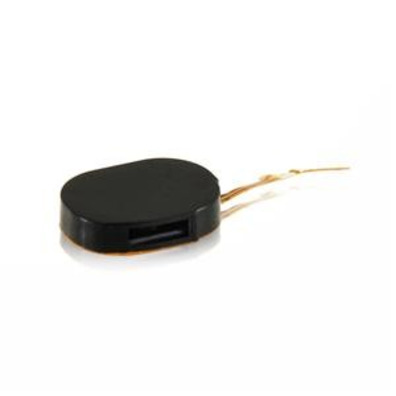 Réparation Buzzer Ringer for iPhone 2G