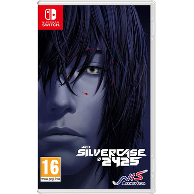 Le Silver Case 2425 Switch