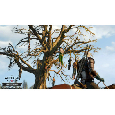 The Witcher 3: Wild Hunt Commutateur