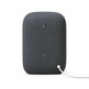 Altavoz Inteligente Google Nest Audio Carbon