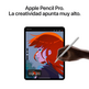 Apple iPad Pro 11 2024 5th Wifi / M4/ 256Gb/ Negro Espacial