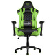 Chaise Gamer THUNDERX3 TGC12 Noir-Vert