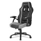 Président Gaming Sharkoon Skiller SGS1 Gris