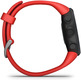 Smartwatch Garmin Forerunner 45 Notificaciones / Frecuencia Cardíaca/GPS Rojo