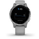 Smartwatch Garmin Sport Vivoactive 4S Gris Argent